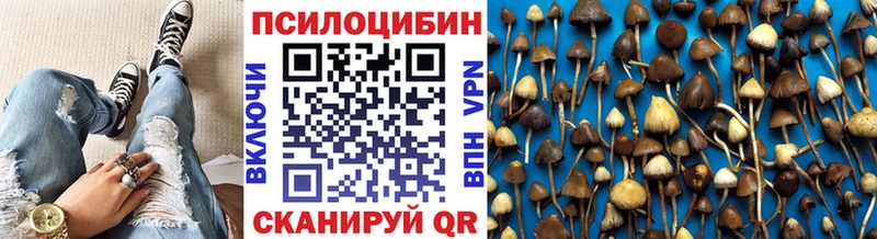 Псилоцибиновые грибы Cubensis  Купить  Норильск 